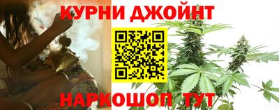 прущая мука Кингисепп