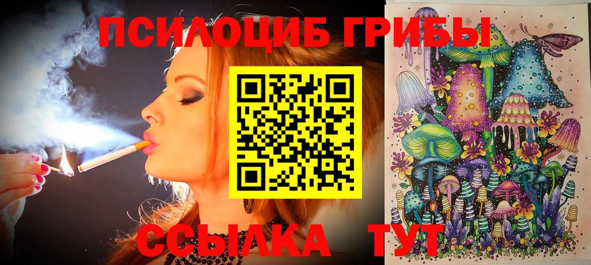Галлюциногенные грибы Psilocybine cubensis Кувандык